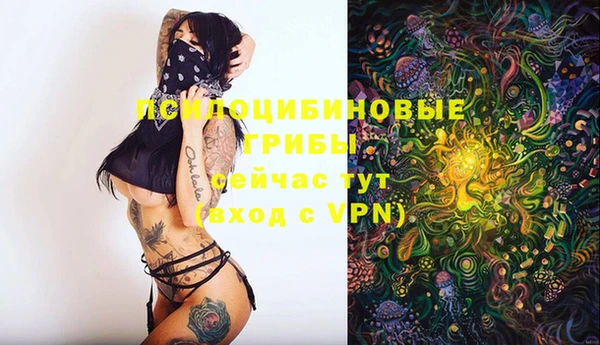 spice Балахна