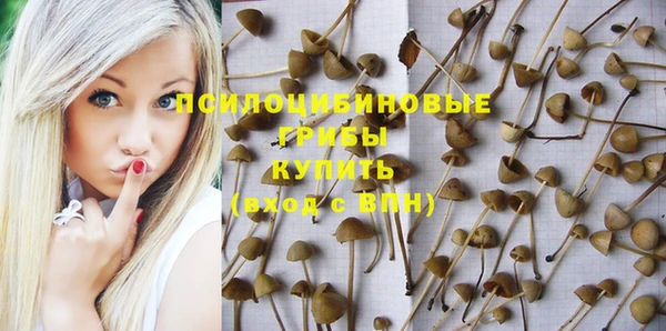 трава Баксан
